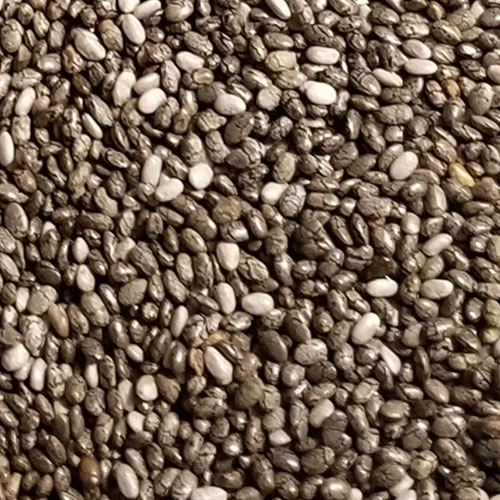 Chia Seeds 1 oz. Dry Seeds